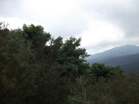 nte Rinatu-20110615 065